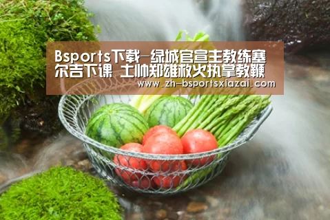 Bsports下载-绿城官宣主教练塞尔吉下课 土帅郑雄救火执掌教鞭(图3) Bsports下载