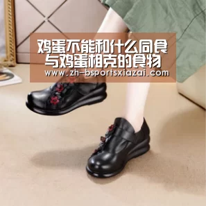 Bsports下载