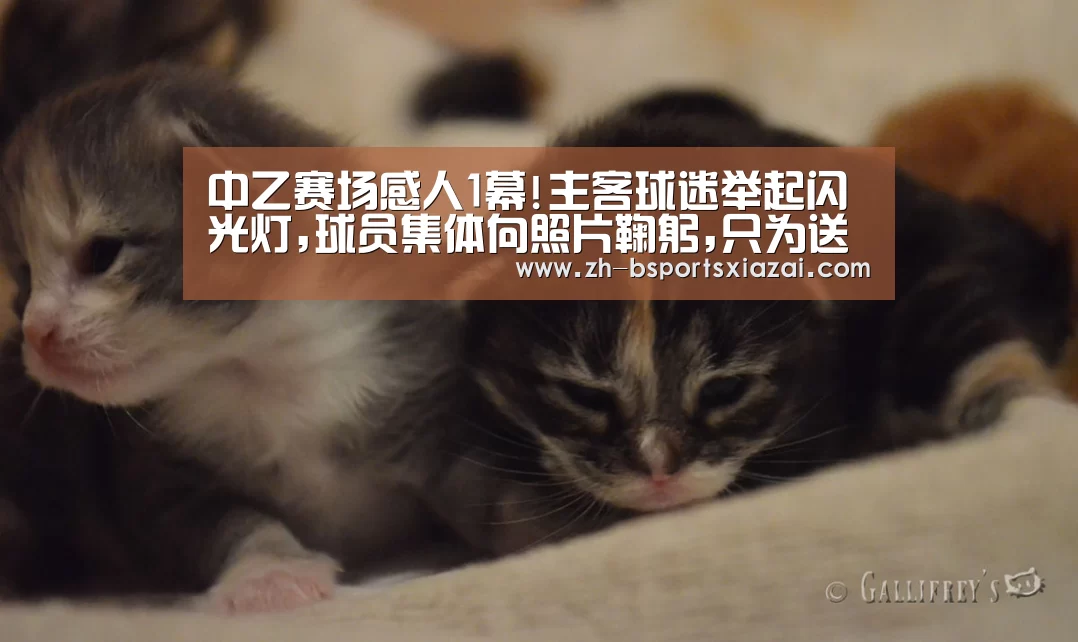 中乙赛场感人1幕!主客球迷举起闪光灯,球员集体向照片鞠躬,只
