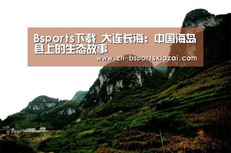 Bsports下载