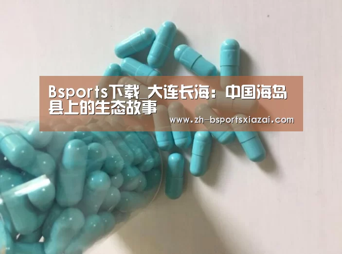 Bsports下载