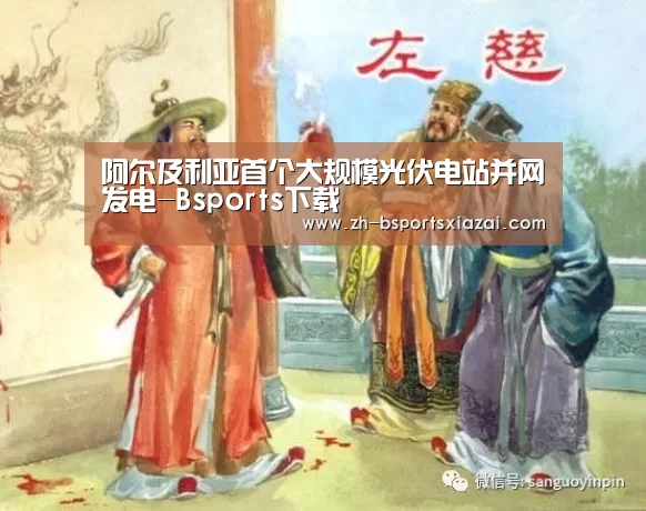 阿尔及利亚首个大规模光伏电站并网发电-Bsports下载(图1) Bsports下载