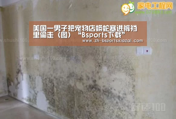 Bsports下载