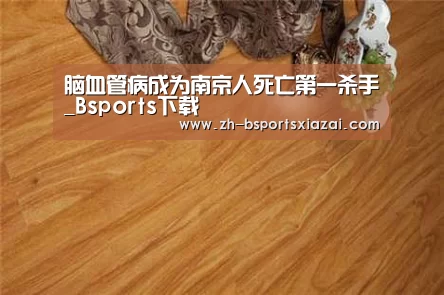 Bsports下载