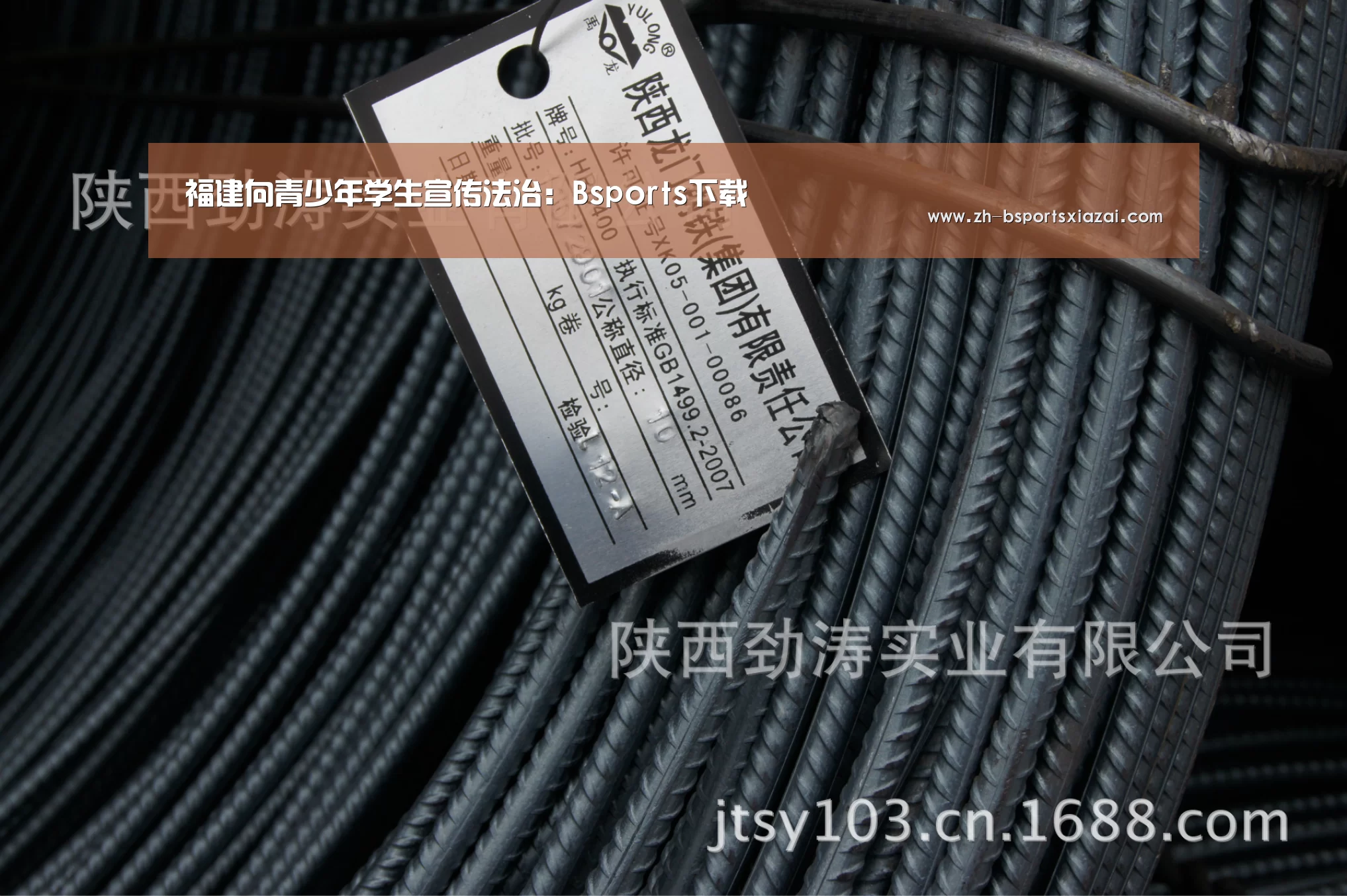 Bsports下载